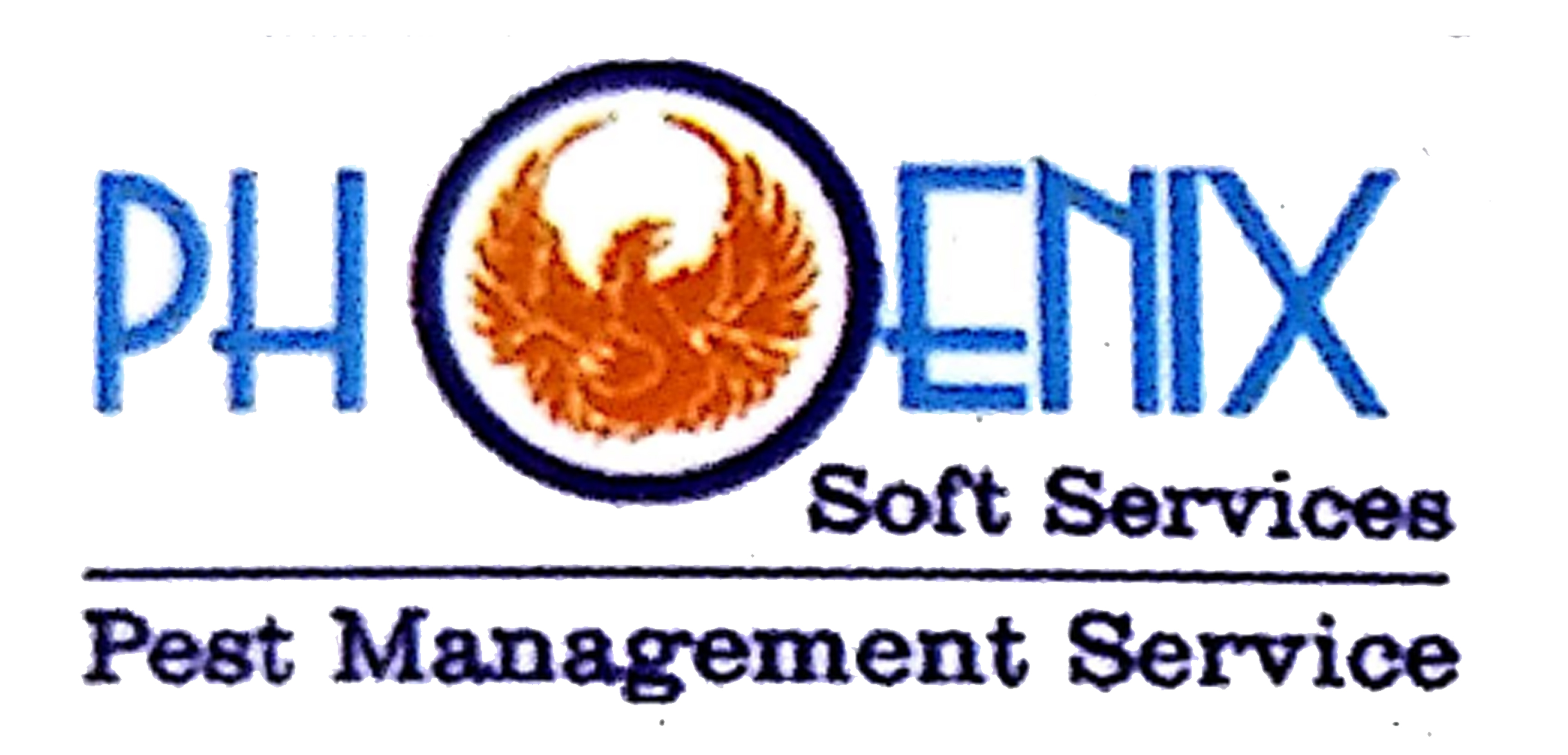 Phoenix Soft Services